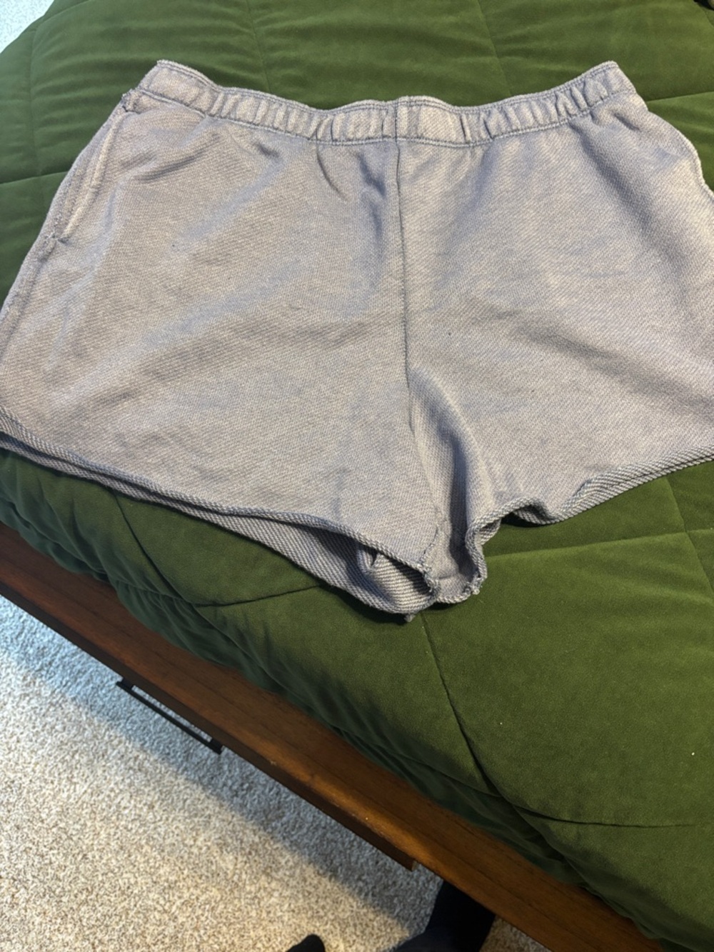 aerie Light Blue Athletic Shorts